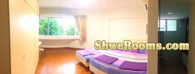 <_______  5 single Diven beds for sale   ________>