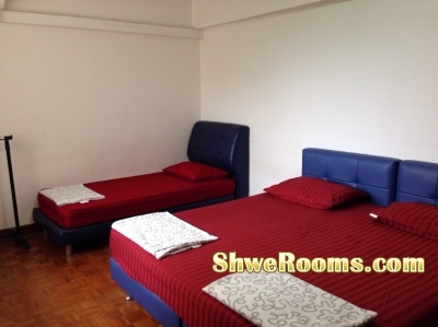 <___  Moving out Furniture with Cheap Price  ____>