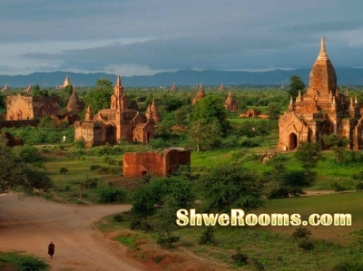 Car-Rental Service in Yangon (Sightseeing Tours) All Destinations