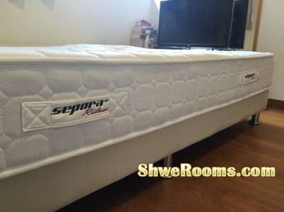 Sepora bedframe and mattress to sell
