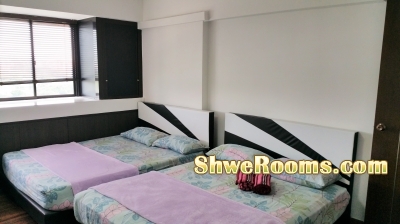 < ___  Two Queen bed sets for sale ____>