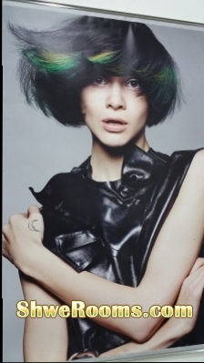 HI HAIR STYLE SALON