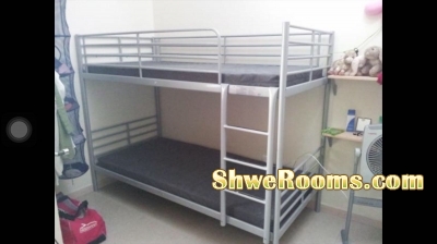 "IKEA"Metal Double Bunk