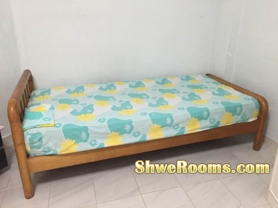 Bed Frame + Materess and Cupbord