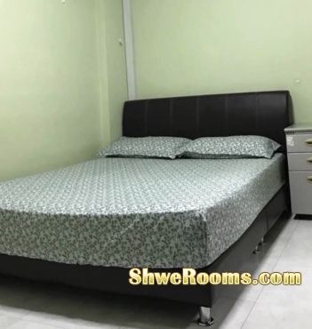Spring Mattress and bed frame ( Queen size)