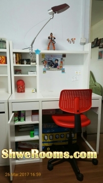 Study Table