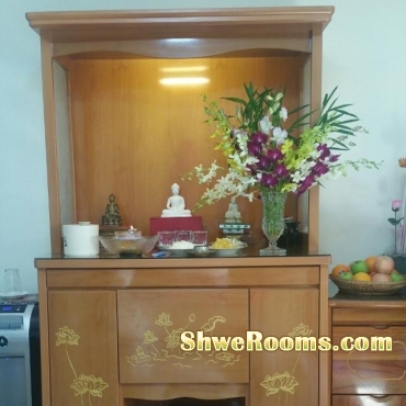 <___ Myanmar Alar for sale ____>