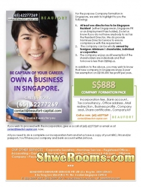 Own a Business in Singapore
