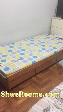 Single bed,Double Decker bed,Single mattress and Refrigerator 