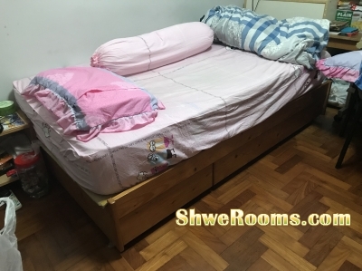 Single bed,Double Decker bed,Single mattress and Refrigerator 