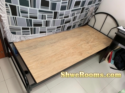 Sofa Bed and single bed for relication sale