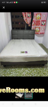 Queen size bed frame and mattress 