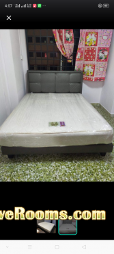 Queen size bed frame and mattress