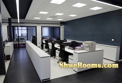 Painting and Ganeral services