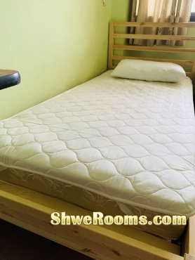 90$ Mattress and single wooden bed frame 90$