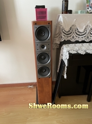 5.1 Yamaha AV & Pioneer speakers