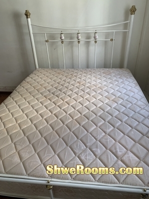 Queen Size Mattress and Bedframe 