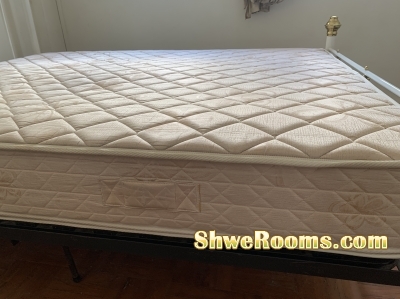**Queen Size Mattress and Bedframe