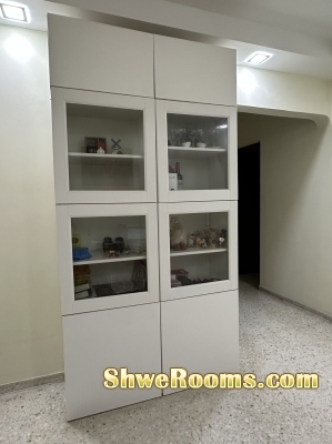 IKEA storage/display cabinet 