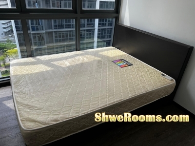 Mattress + Bedframe - 2set