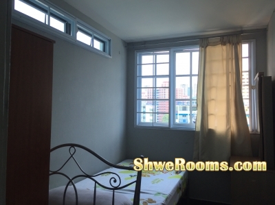 Single room for rent at near Braddell MRT