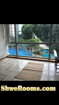 One big condo common room to rent