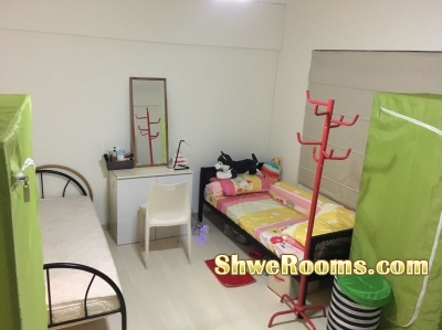 FEMALE MASTER ROOM NEAR Marymount MRT (Circle Line/Orange Line)