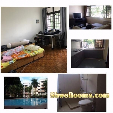 1 male to share master room (2 persons per room) at Cashew Park Condo $450