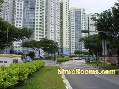 *** One Male Common Room Mate with Air-Con At ( Kallang MRT )****