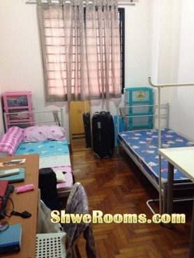 Condo Single Room ( from now to 27 Mar ) & One Female Roomate for Common Room ( for long/ short term ) @ Regent Heights Condo , Bukit Batok East Ave 5 	
