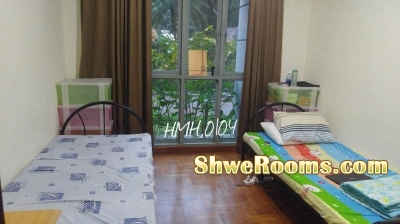 Short/long term 1person to share a common room