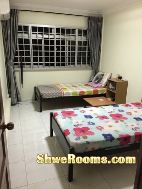 Spacious Common Room with full furniture at very high floor near Yewtee Mrt for rent