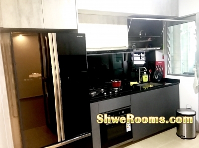 Beautifully Rennovated Common Room for Rent