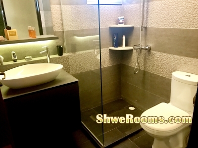 Beautifully Rennovated Common Room for Rent