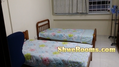 $350/person room available near Pasir Ris MRT