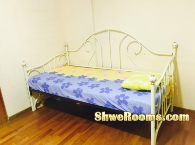 ** Looking for a Lady for common room near Kembangan mrt