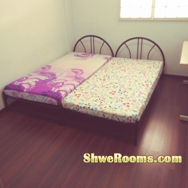 ##### Common Room with Aircon for Lady @ Bedok/ Tanah Merah