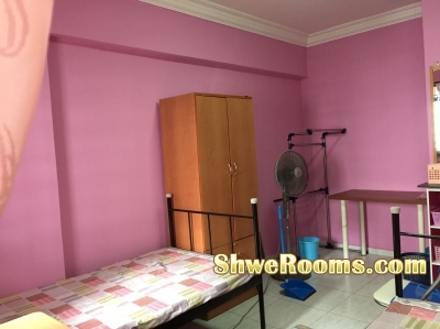 Room vacancy for one lady @ Sengkang