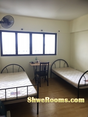 15th Feb !!! One Female & Two Males Available for Spacious Bedroom at Eunos