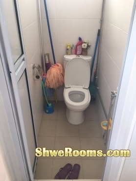 HDB Room for rent at Kallang 