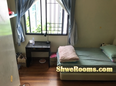 *750* Common Room at Beauty world (SUITABLE FOR SIM STUDENTS)