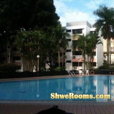 Looking for male tenants for single room & shared common Room @ walk-up Condo Near Cashew MRT