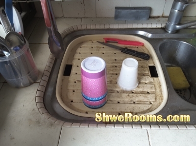 Looking for one female roomate in master bedroom