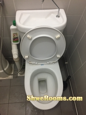 Looking for one female roomate in master bedroom