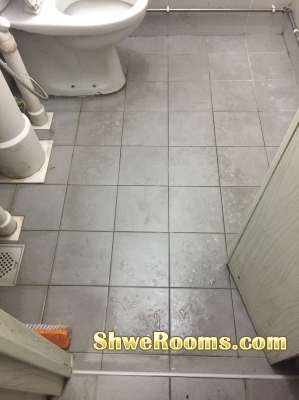 Looking for one female roomate in master bedroom