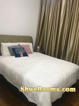Short Term Available for Male or Female (Common Room )