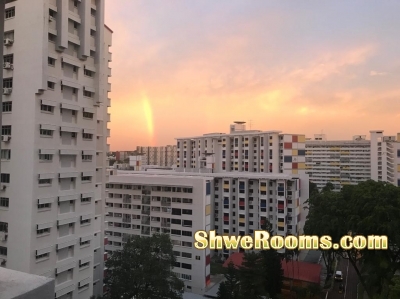 Short term Available at Macpherson for one lady roommate-Oct 2018