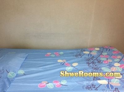 Immediate Available one lady to share big master  room at very near with Lakeside mrt