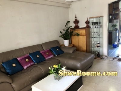 Quiet clean two common-rooms for rent