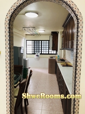 Look for Male Room Mate